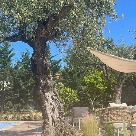 Aparthotel Nissi Collection Argassi