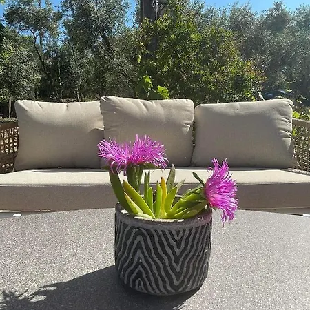 Nissi Collection Aparthotel Argassi
